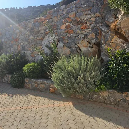 Petros Villa Malia (Crete)