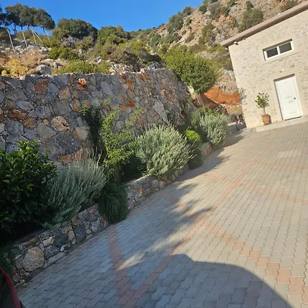 Petros Villa *