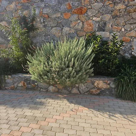 Villa Petros
